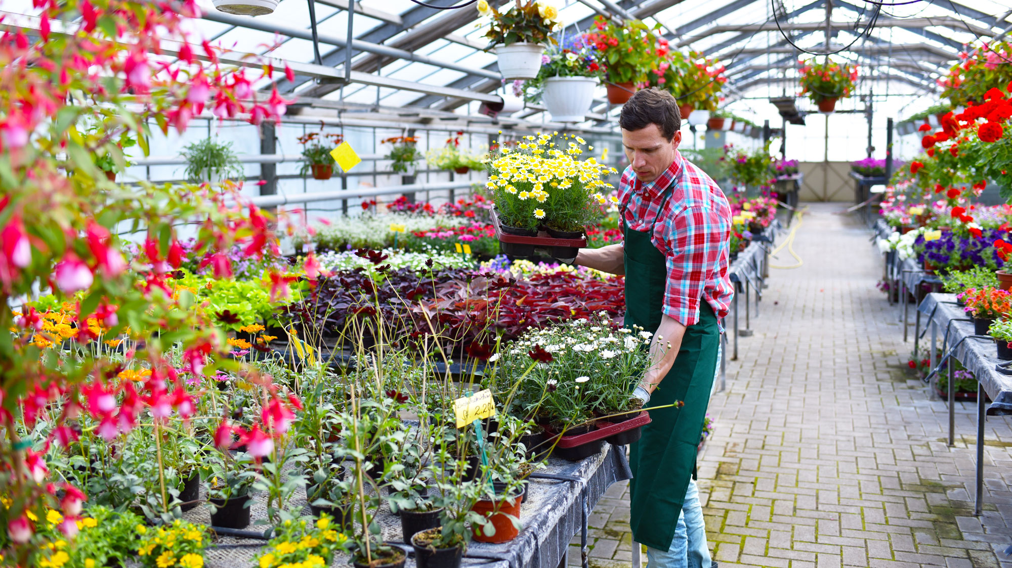 Horticulture Courses Melbourne Melbourne Polytechnic Horticulture Courses Melbourne Melbourne Polytechnic