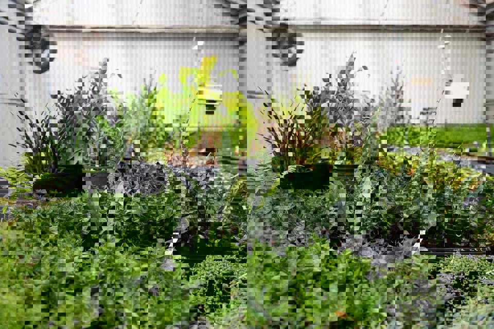 Horticulture Tafe Melbourne Melbourne Polytechnic Horticulture Tafe Melbourne Melbourne Polytechnic