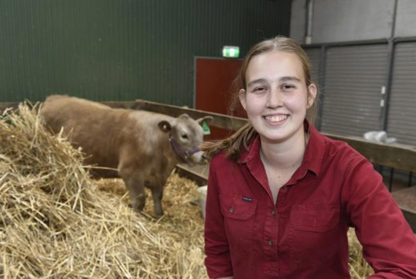 Agriculture Student Abbey Wright sitting on hay bales with cow in a stable behind her.